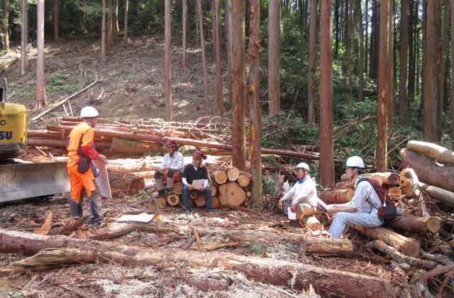 新規就業者の現在：イメージ3