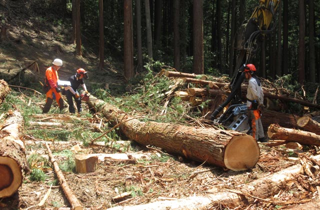 有限会社塩野産業：イメージ1