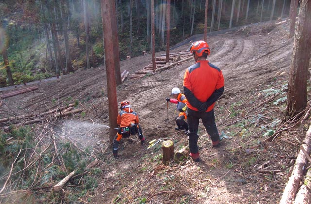 東京都森林組合：イメージ1