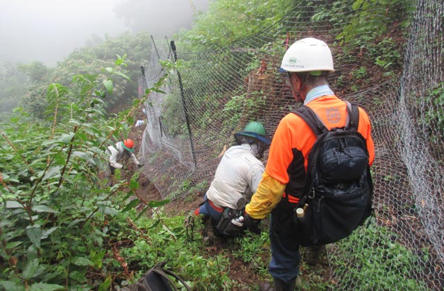 森のお仕事株式会社：イメージ1
