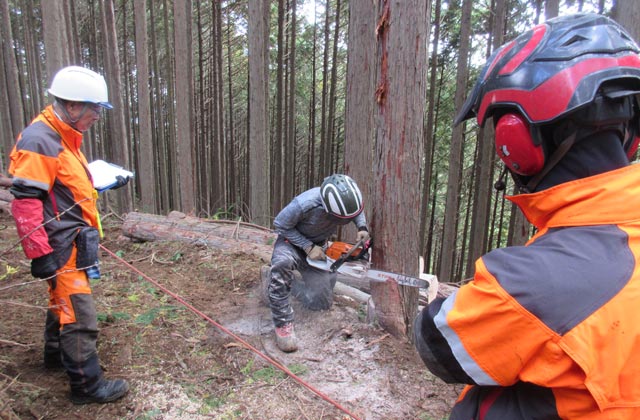 森のお仕事株式会社：イメージ3